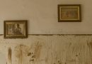 vivienda dana